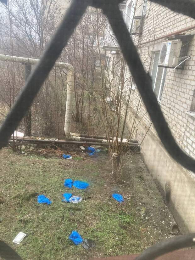 на ул. Прудовой, 10 с окна выбрасывают кульки с фекалиями