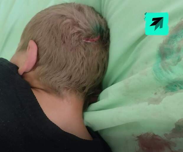 Уголовное дело и жалобы пациентов