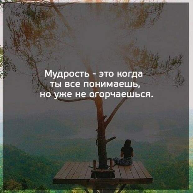 Прикольные картинки и фото с надписями до слез (12 фото) Прикольные картинки и фото с надписями до слез (12 фото)
