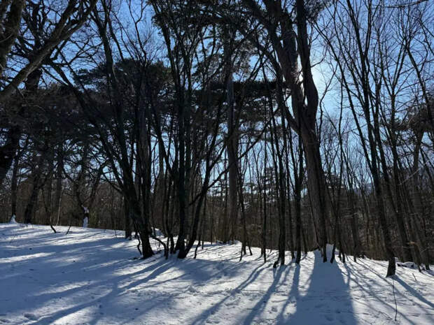 Подготовьтесь к нестабильному лету 2026: прогноз после снежного апреля