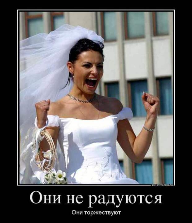 Немного новых демотиваторов