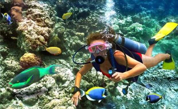 Russo touristo пандемия нипочем: Конкурентами Сочи стали Мальдивы и Сейшелы