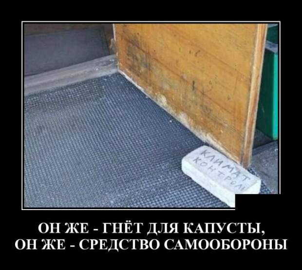 Демотиваторы смешные