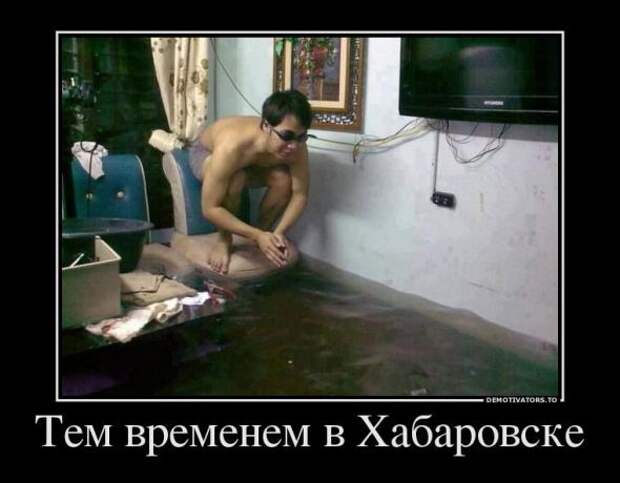 Немного новых демотиваторов