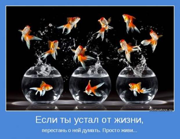 Мотиваторы. Излучаем и... получаем.