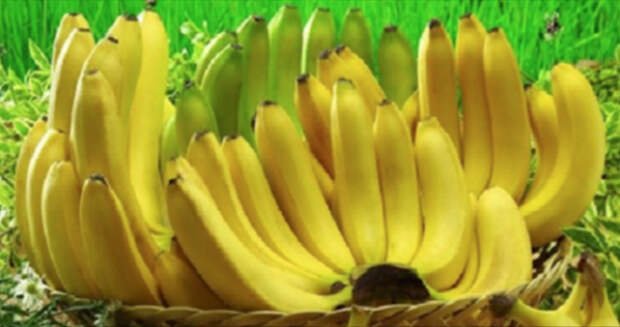 Если вы любитель бананов, прочитайте эти 10 шокирующих фактов (№ 6 очень важен)...