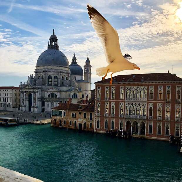 (Не)обычная Венеция