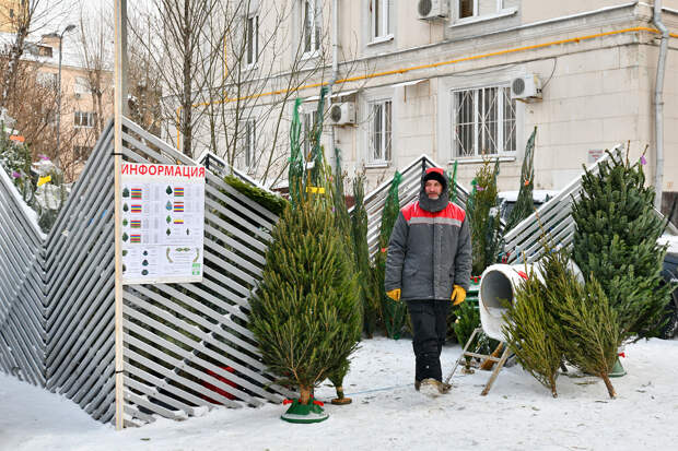 Фото Ю. Иванко. Mos.ru