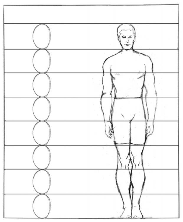 Пропорции в рисунке как мерить карандашом