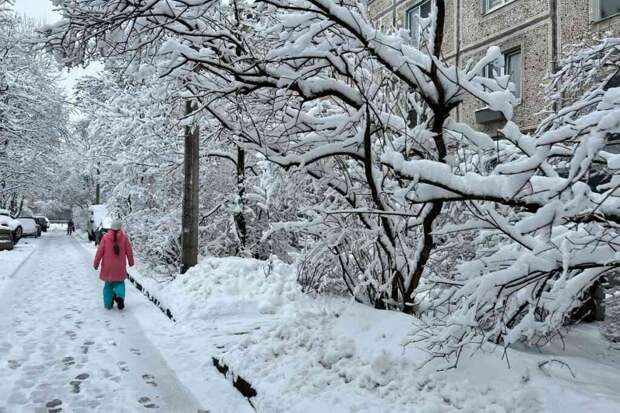 На Москву надвигаются 20-градусные морозы