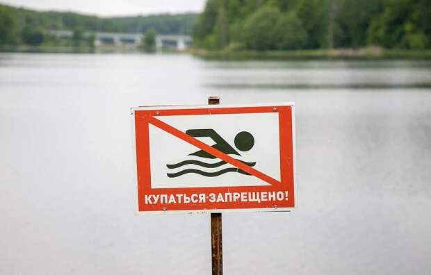 В Тульской области за купальный сезон этого года утонули 19 человек