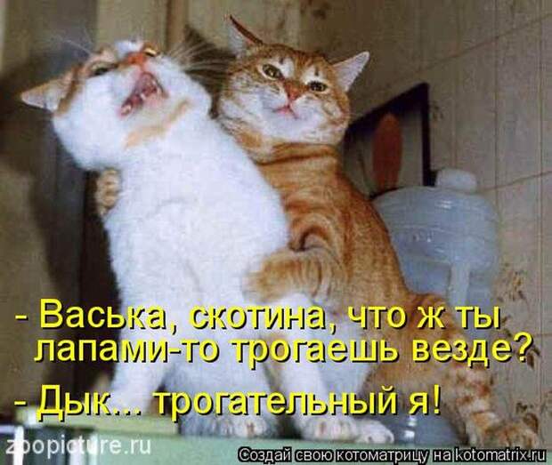 Мысли вслух :) 23 пушистые мыслишки