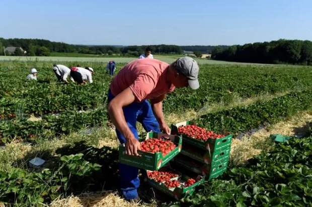 Фото: kasheloff.ru