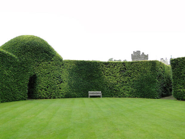 levenshall 10 Сад Левенс Холл