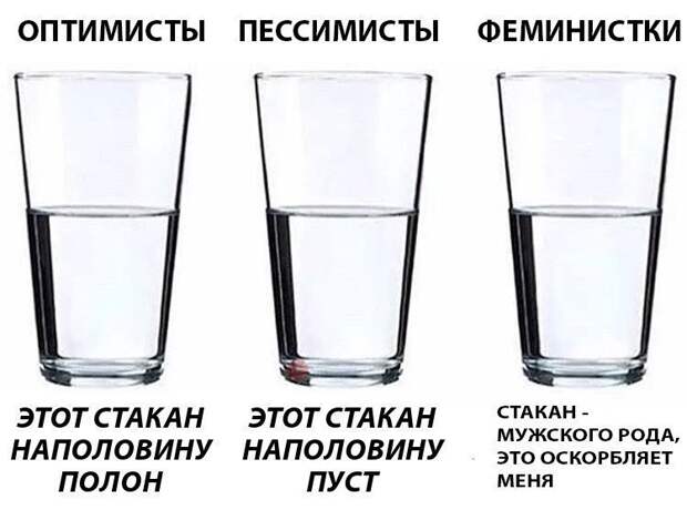 Феминизм и его проявления в реальной жизни Феминизм и его проявления в реальной жизни