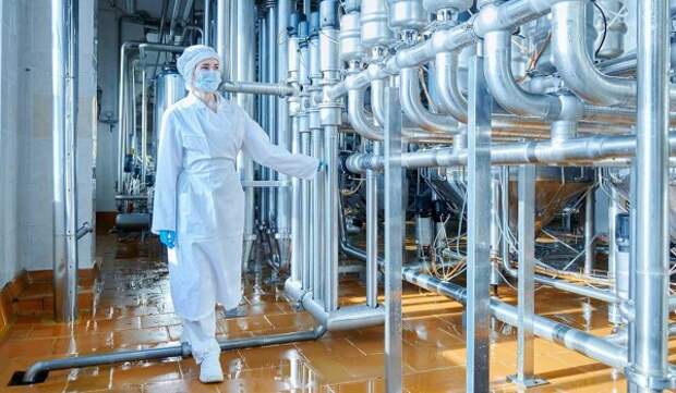 Зоологи МГУ назвали новый вид моллюсков «Чудо человечное»