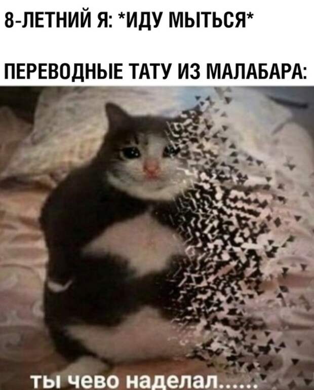 «Ты чево наделал»: Что за мем?
