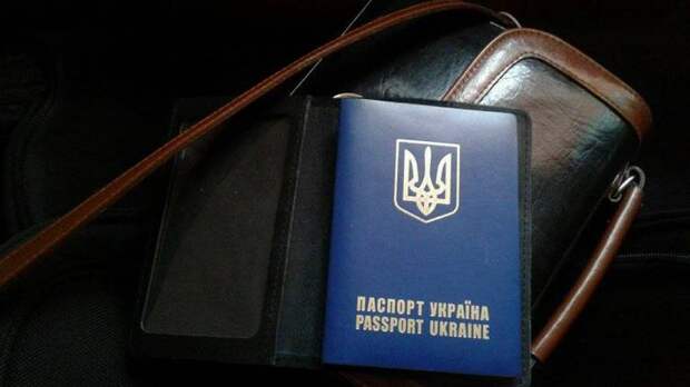 Почему закон о двойном гражданстве на Украине обречен на провал Почему закон о двойном гражданстве на Украине обречен на провал