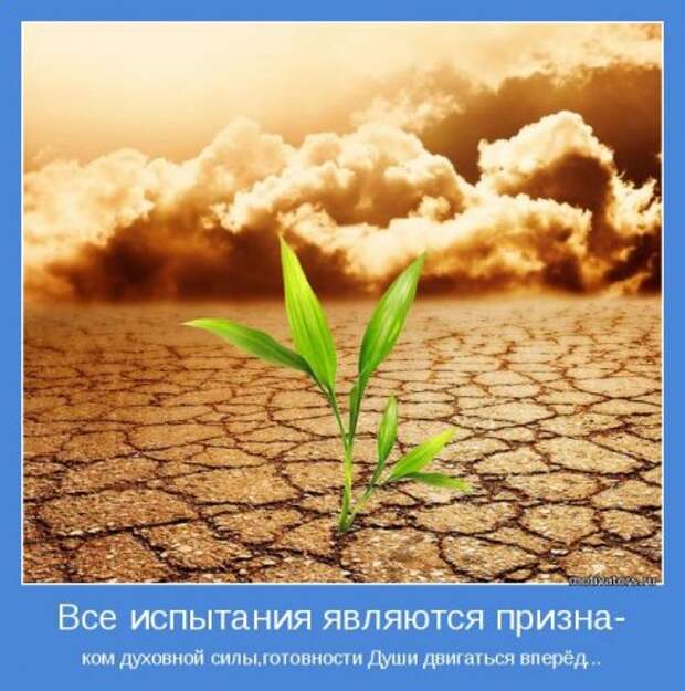 Мотиваторы. Излучаем и... получаем.