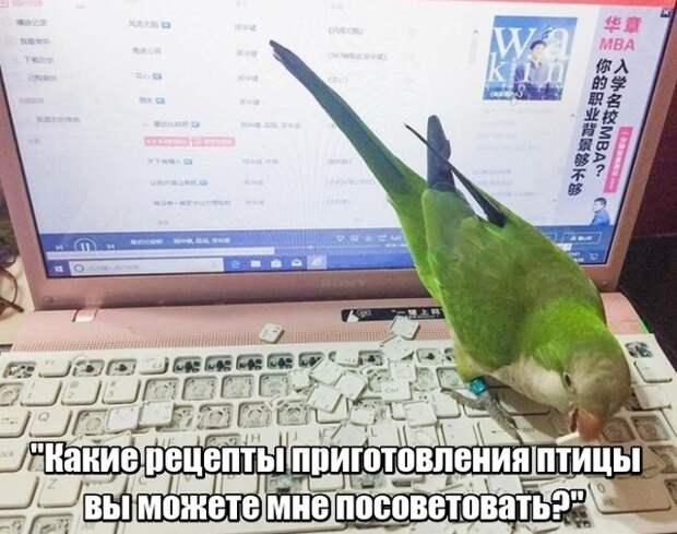 Подборка картинок (20 фото)