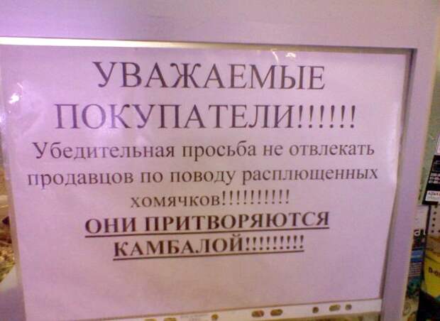 Веселый магазин. Веселый магазин.