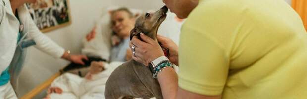 Более 270 тысяч казахстанцев получают адресную помощь от государства