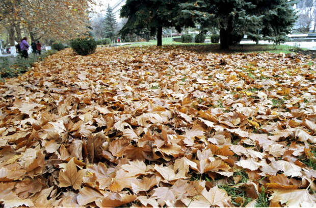 первоклашке!. осень сентябрь. сентябрь желтень. бабье лето в городе. солнечная осень.