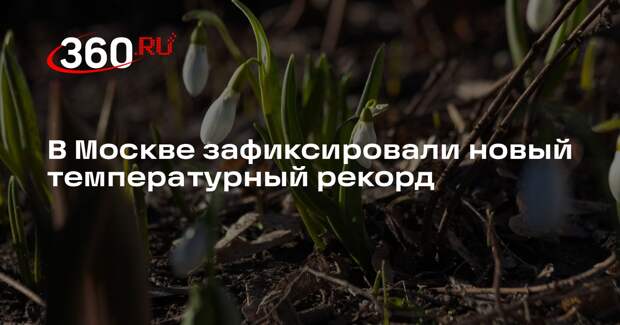 Московская погода побила температурный рекорд 2007 года