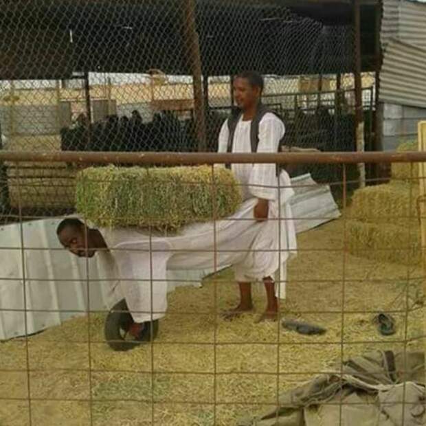 Прикольные картинки абавсём:D