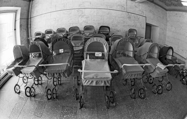 Отечественные производители модернизировали коляски / Фото: politiko.ua