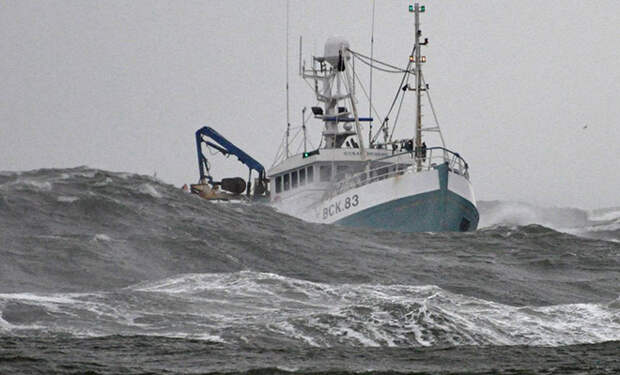 Источник фото: https://scottishfsag.org/