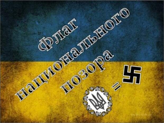 Украинские символы нацизма