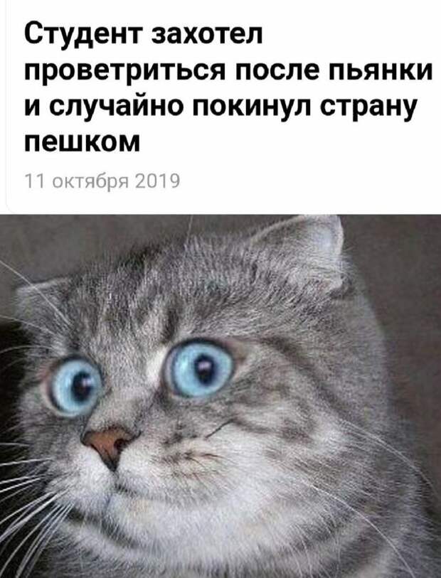 1571081451_0067.jpg