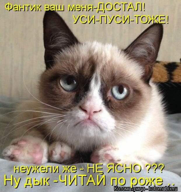 Новые крутые котоматрицы первой недели октября (50 фото) Новые крутые котоматрицы первой недели октября (50 фото)