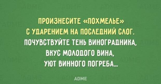 Забавные картинки середины дня