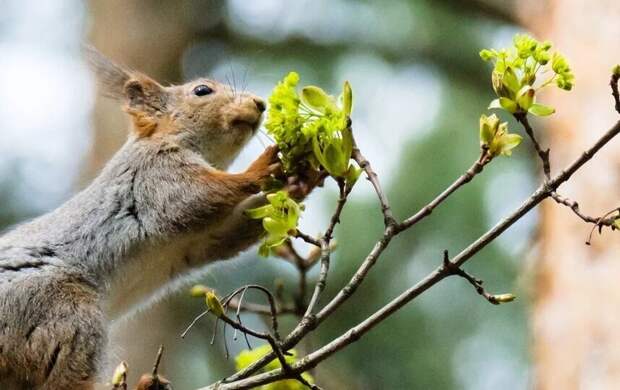 Майские выходные в Петербурге будут теплыми