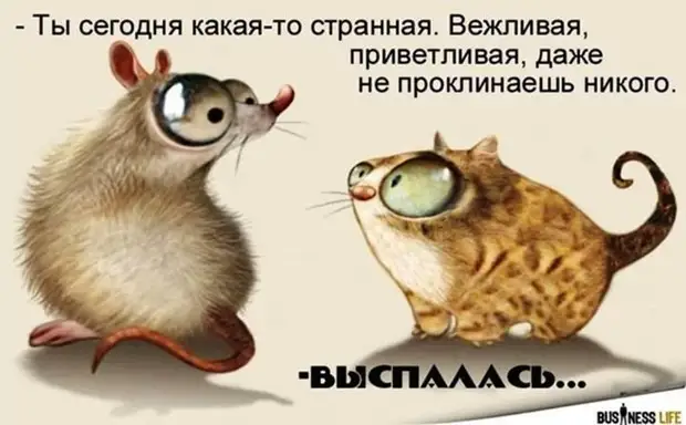 Нотка юмора для прекрасного вечер