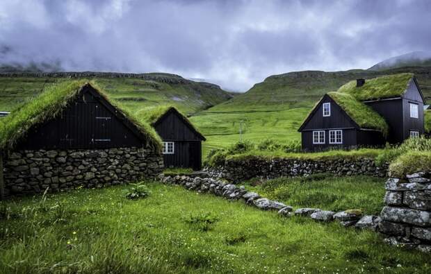 Зачем в скандинавских странах на крышах домов садят траву, и почему такая тенденция больше нигде не