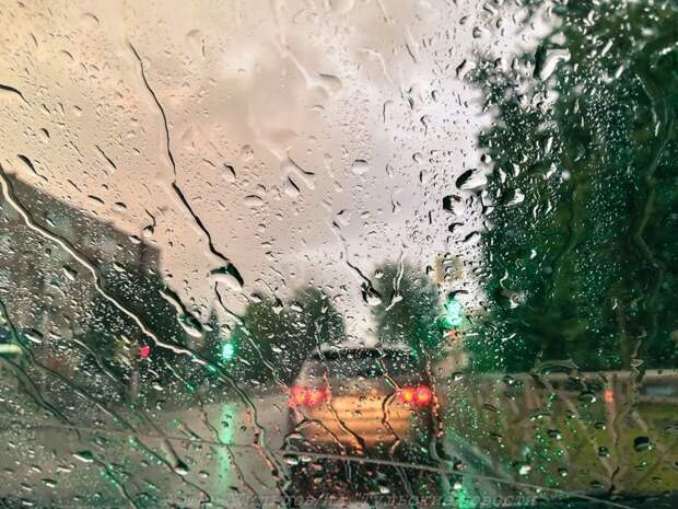 В Тульской области всю неделю ожидается дождливая погода и прохлада