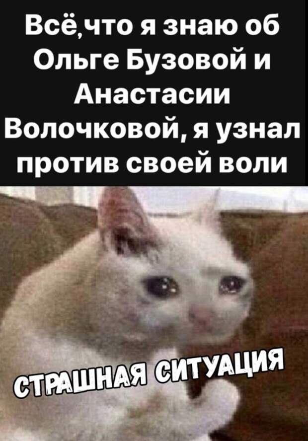 Подборка картинок. Дневной выпуск (20 фото)