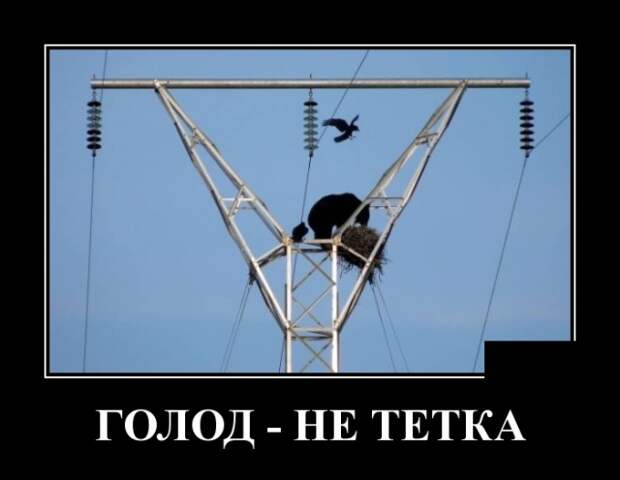 Демотиваторы (30 фото)