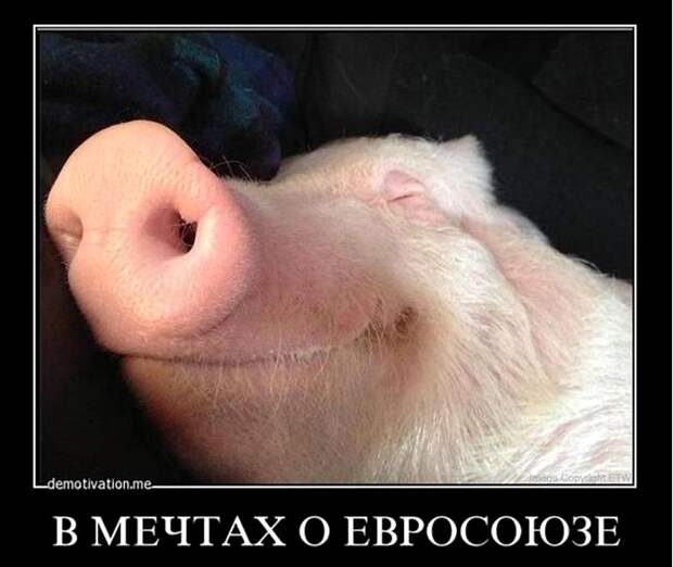 Мысли, фразы, настроение... 