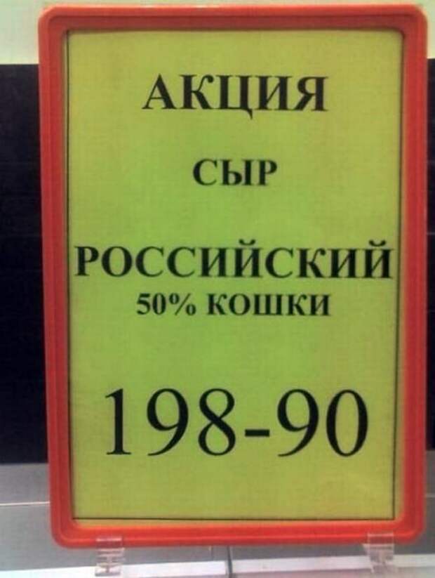Сыр из кошки. Сыр из кошки.
