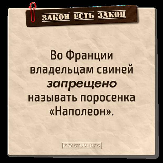 Закон устарел. Устаревшие законы. Турция законы глупые. Глупые законы в Германии.