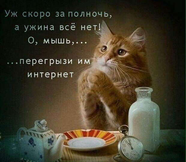 Женщины — такие женщины.. Уморительные женские статусы, которые поднимут настроение всем