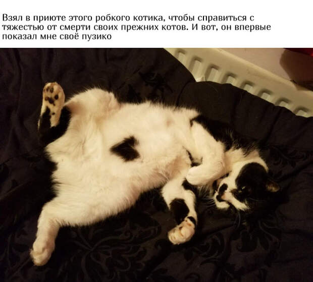 www.vsyako.net