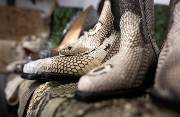 Коллекция обуви из змеиной кожи Хитроу, аэропорт, великобритания, животные, контрабанда, конфискат, таможня