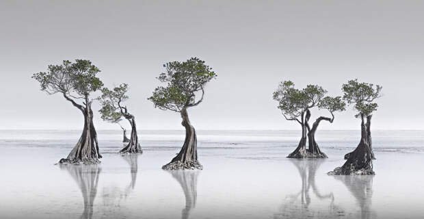 Лучшее с конкурса панорамной фотографии Epson International Pano 2019