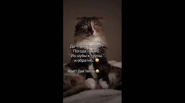 Video: TikVideo.App_7499506649783078149_hd.mp4