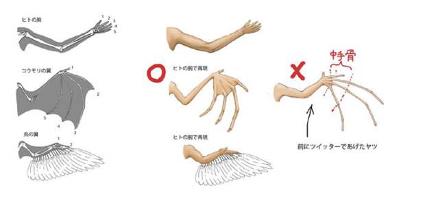 humans-animals-anatomy-satoshi-kawasaki-5d7f2e744fe20__700.jpg humans-animals-anatomy-satoshi-kawasaki-5d7f2e744fe20__700.jpg